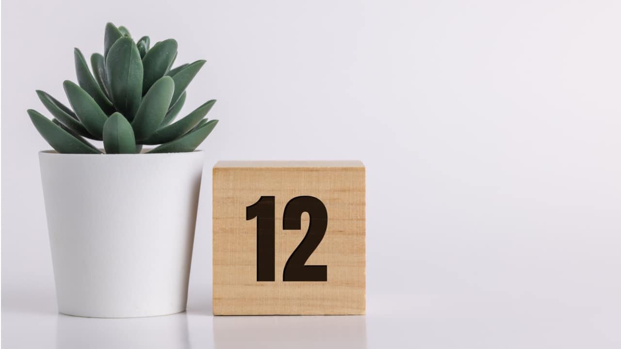 Portal 12/12: aprenda como se libertar e transformar a sua vida - Notícias sobre Astrologia, Signos e muito mais!