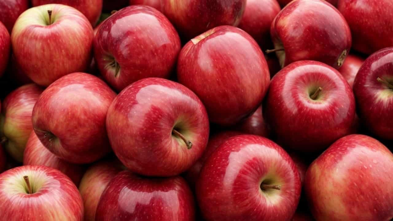 Aprenda simpatia com maçã para atrair a pessoa desejada - Notícias sobre Astrologia, Signos e muito mais!