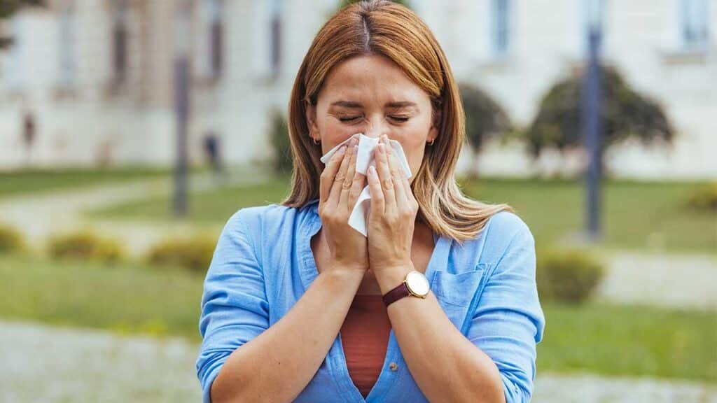 Dicas da Benzadeira: doenças e porquê adoecemos