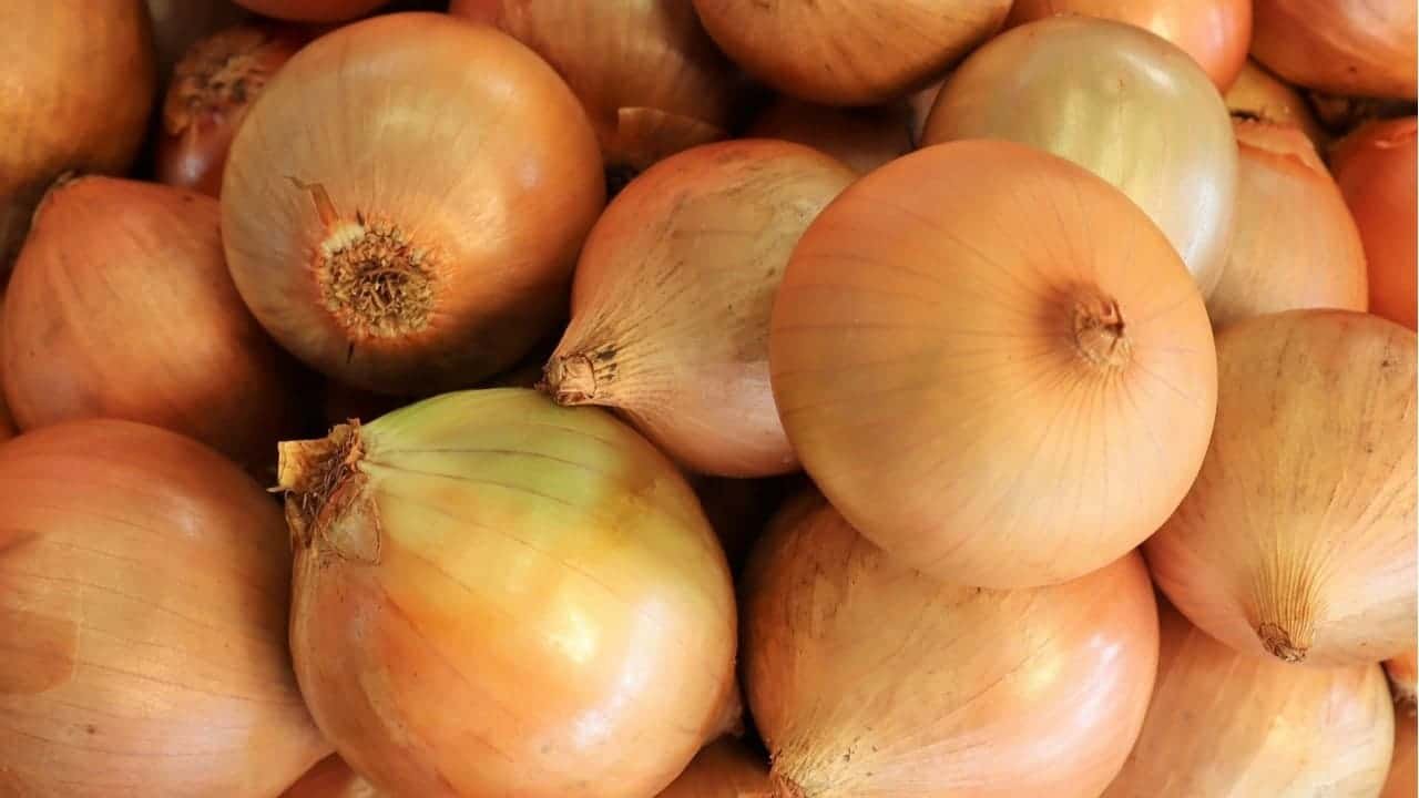 Ritual com casca de cebola para soltar mágoas antigas - Notícias sobre Astrologia, Signos e muito mais!