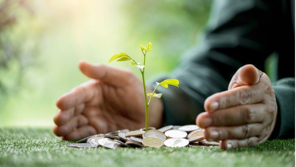 Ritual com três sementes para plantar metas futuras - Notícias sobre Astrologia, Signos e muito mais!